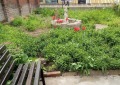 Продава КЪЩА, град Русе, Център • 130000 € / 254257.90 лв. • 86354417 12