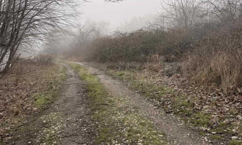 Продава ПАРЦЕЛ, гр. Бяла, област Варна, снимка 3 - Парцели - 53431837