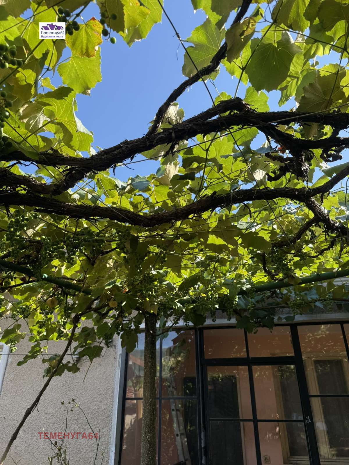 ������� ���� | Imot.bg � ����������� 9