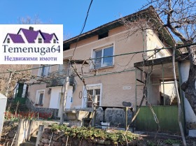 ������ ������� ����