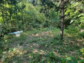 Handlung Batschkowo, region Plowdiw