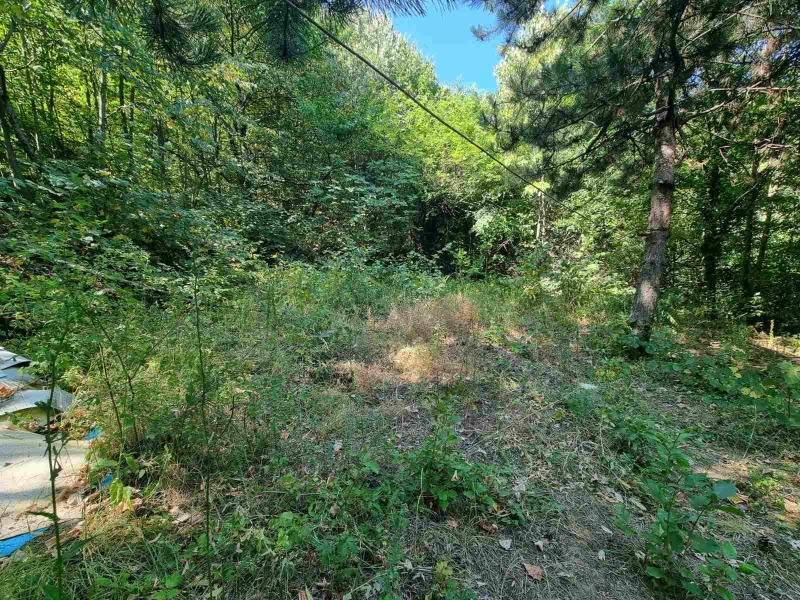 Zu verkaufen  Handlung region Plowdiw , Batschkowo , 529 qm | 36039192 - Bild [2]