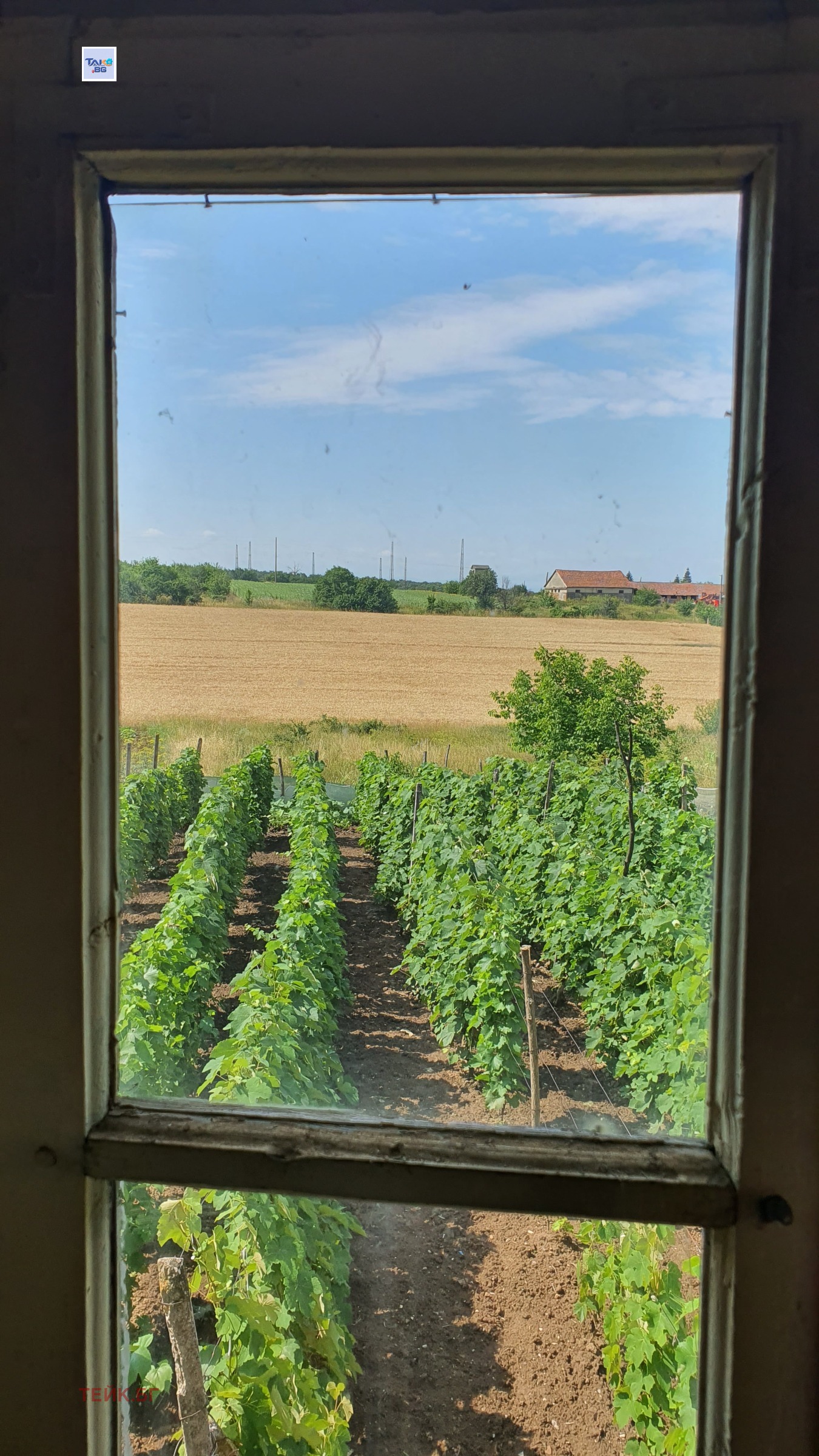 ������� ���� | Imot.bg � ����������� 12