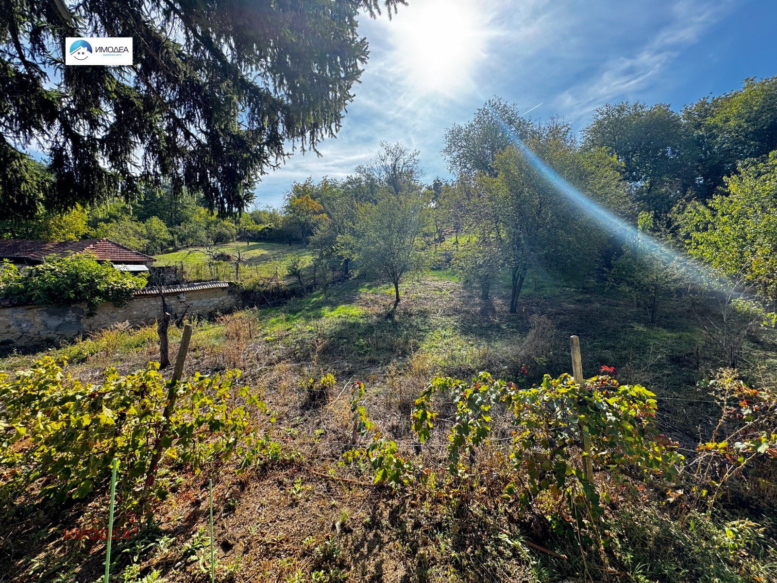 ������� ���� | Imot.bg � ����������� 13