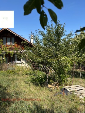 ����� ������� ����,���� ������, ������>