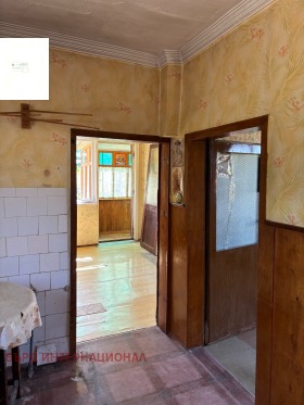 ����� ������� ����,���� ������, ������