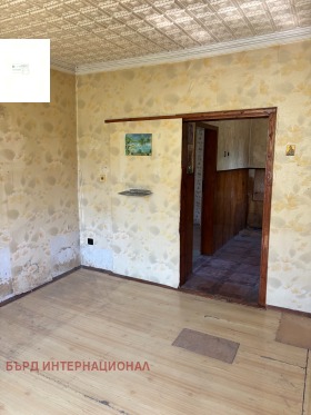 ����� ������� ����,���� ������, ������