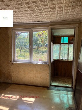 ����� ������� ����,���� ������, ������