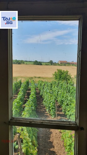 ������� ���� | Imot.bg � ����� ������ 12