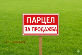 ����� ������� ������,���� ����, ������ ����