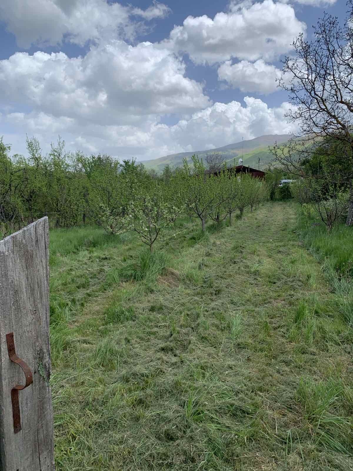 Продава КЪЩА, с. Гюешево, област Кюстендил, снимка 7 - Къщи - 54555473