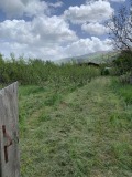 Продава КЪЩА, с. Гюешево, област Кюстендил, снимка 7