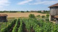 Продава КЪЩА, с. Ивановци, област Видин, снимка 13