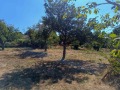 Продава ПАРЦЕЛ, град Варна, м-т Кочмар • 39000 € • 79305084 — Holmes.bg