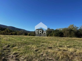 ����� ������� ������,���� �����, �. ��������