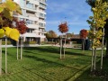 Продава 3-СТАЕН, гр. София, Карпузица, снимка 14