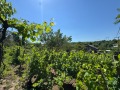 Продава ВИЛА, гр. Русе, в.з. Касева Чешма, снимка 3