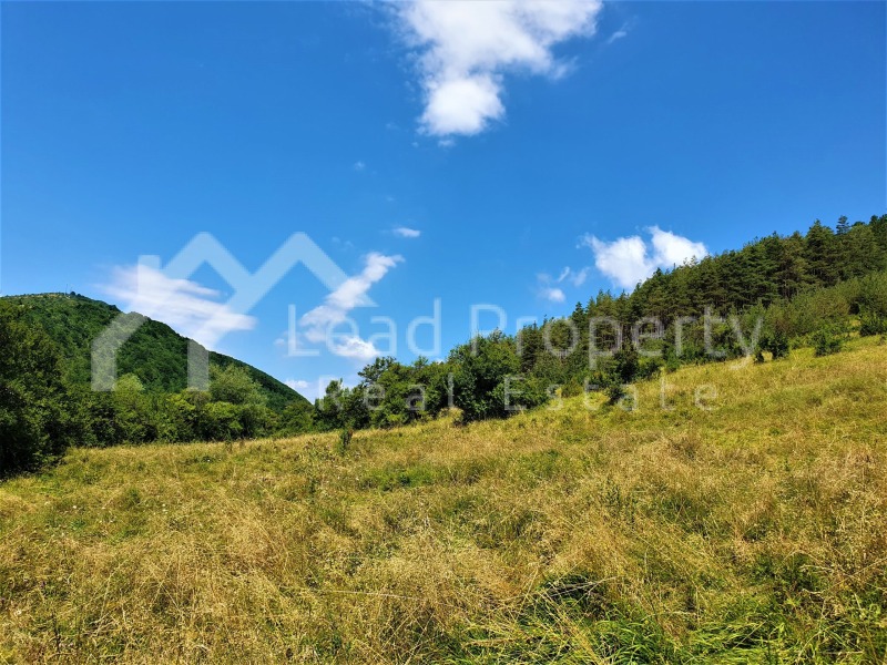 Продава ПАРЦЕЛ в област София, с. Гинци - 1805 кв.м / 20 400 € » 39 898.93 лв., ЛИЙД ПРОПЪРТИ
