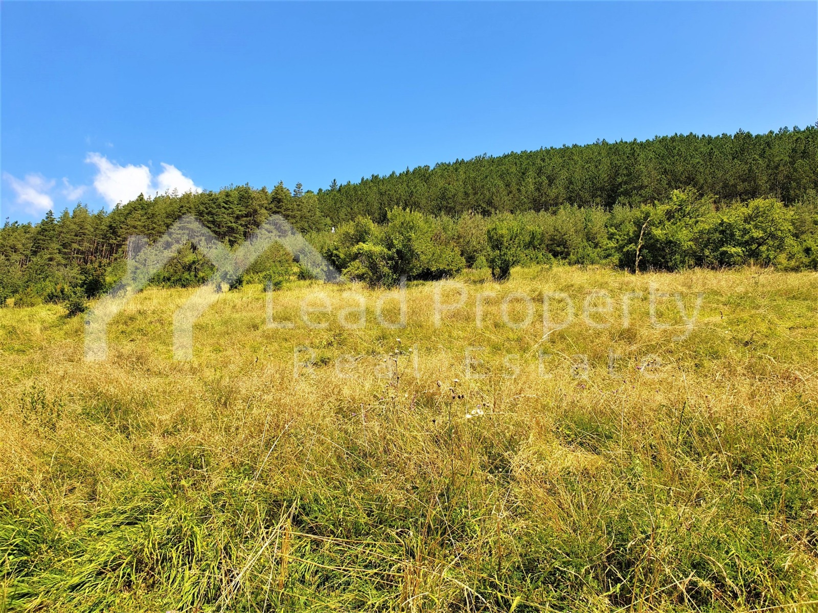 Продава ПАРЦЕЛ | Imot.bg — изображение 4