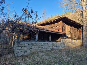 Hus Stansjov han, region Gabrovo 3