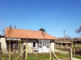 Hus Babovo, region Ruse 3