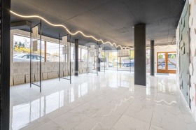 ����� ������� ������,���� �����, ����������