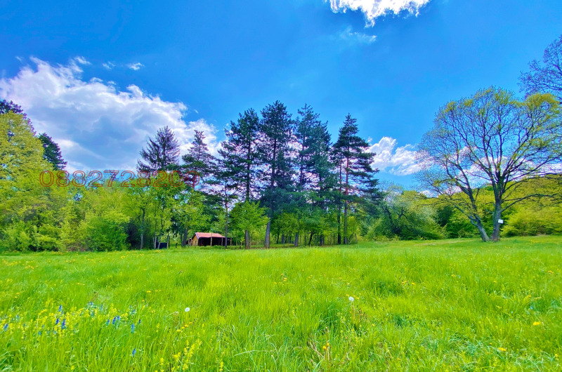 Na sprzedaż  Dom Sofia , Gorna banja , 1000 mkw | 28424622 - obraz [13]