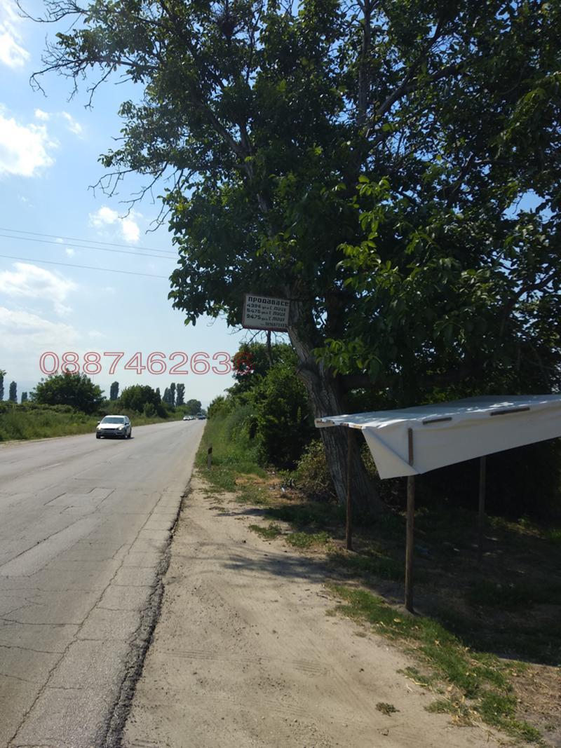 Продава ПАРЦЕЛ, с. Звъничево, област Пазарджик, снимка 8 - Парцели - 52779494
