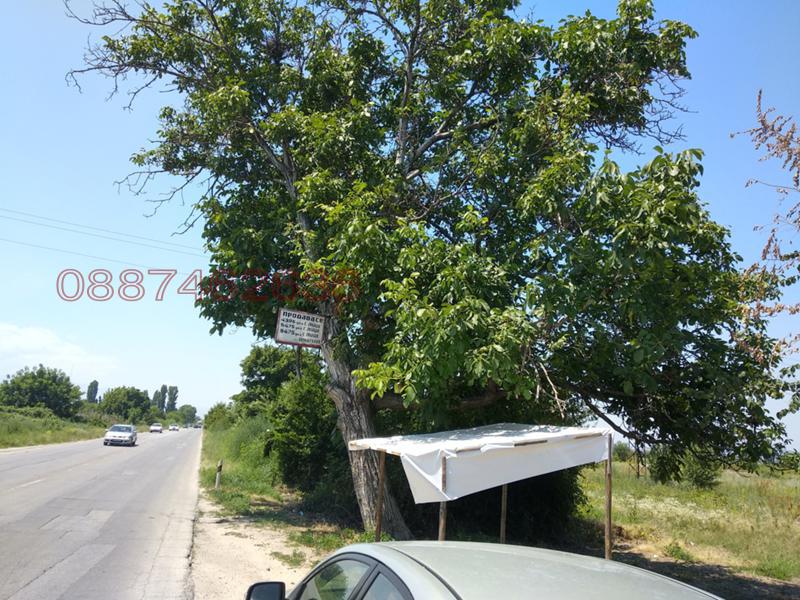 Продава ПАРЦЕЛ, с. Звъничево, област Пазарджик, снимка 7 - Парцели - 52779494