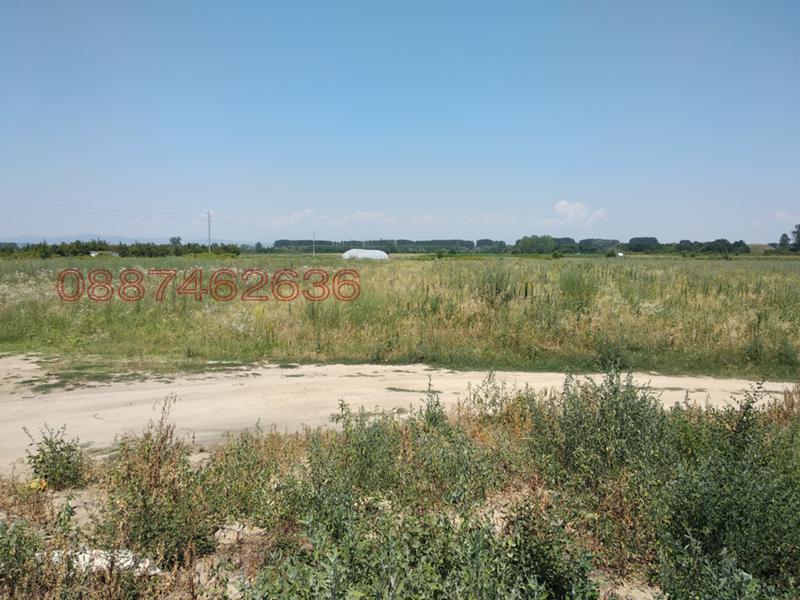 Продава ПАРЦЕЛ, с. Звъничево, област Пазарджик, снимка 11 - Парцели - 52779494
