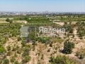 Продава  Парцел област Пловдив , с. Марково , 910 кв.м | 42741967