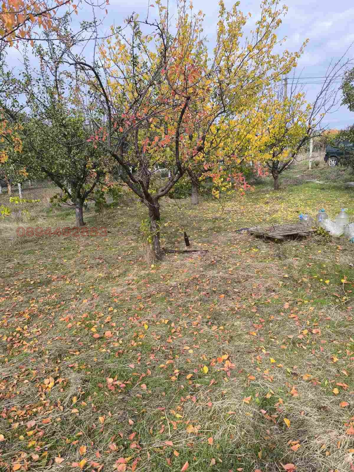 ������� ������ | Imot.bg � ����������� 6