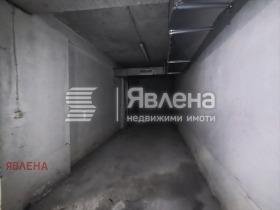 ����� ������� �����,���� �����, ����� 8