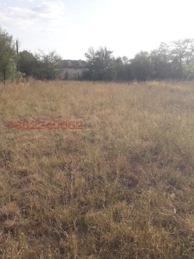 ������ ������� ������