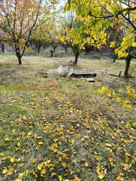 ������� ������ | Imot.bg � ����� ������ 11