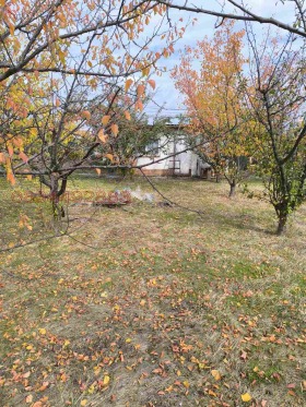 ������� ������ | Imot.bg � ����� ������ 7