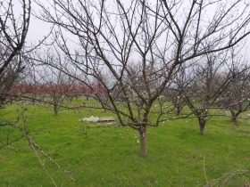 ������� ������ | Imot.bg � ����� ������ 5