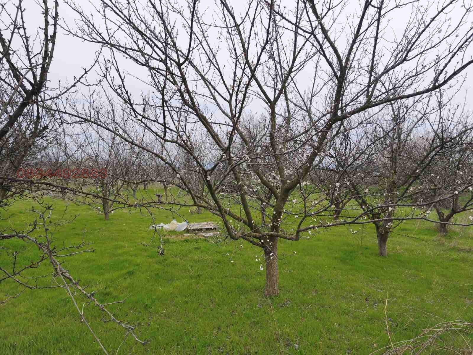 Продава ПАРЦЕЛ, гр. Шумен, Дивдядово, снимка 5 - Парцели - 54105134