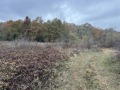 Продава ПАРЦЕЛ, с. Велчево, област Велико Търново, снимка 2