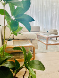 Продава 3-СТАЕН, град Бургас, Възраждане • 255000 € • 57388553 — Holmes.bg