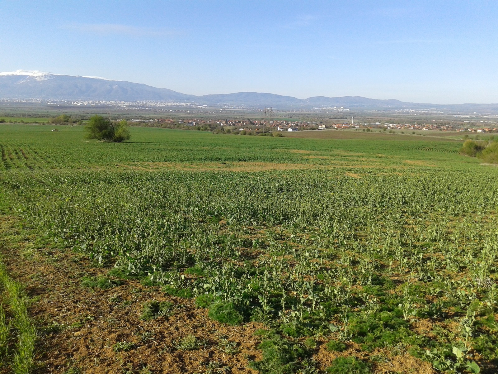 Продава ПАРЦЕЛ | Imot.bg — изображение 5