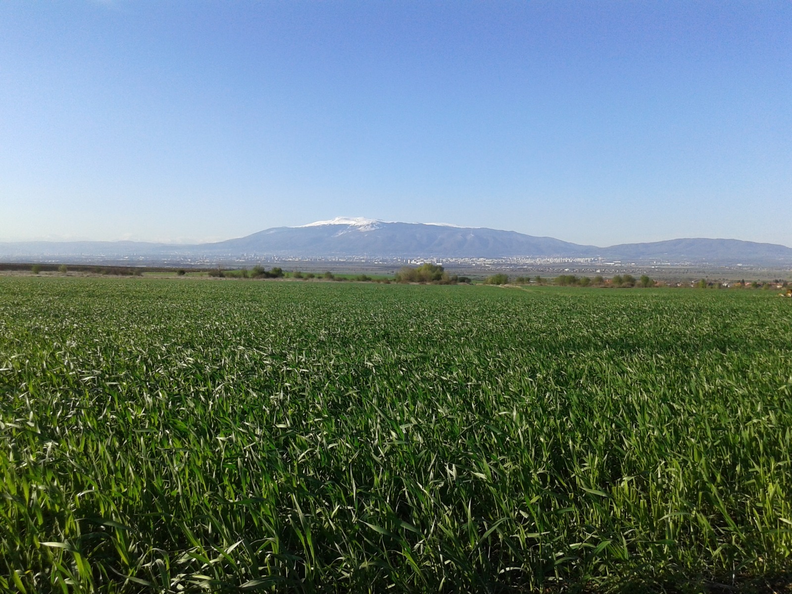 Продава ПАРЦЕЛ | Imot.bg — изображение 3