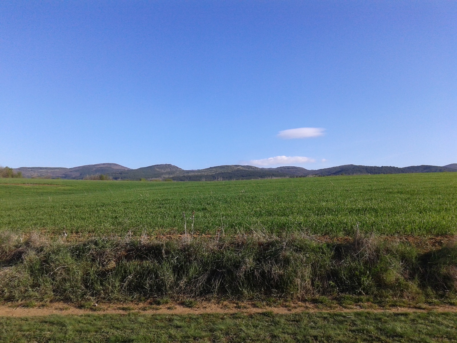 Продава ПАРЦЕЛ | Imot.bg — изображение 4