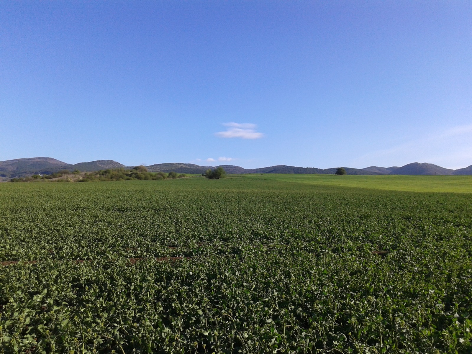 Продава ПАРЦЕЛ | Imot.bg — изображение 1