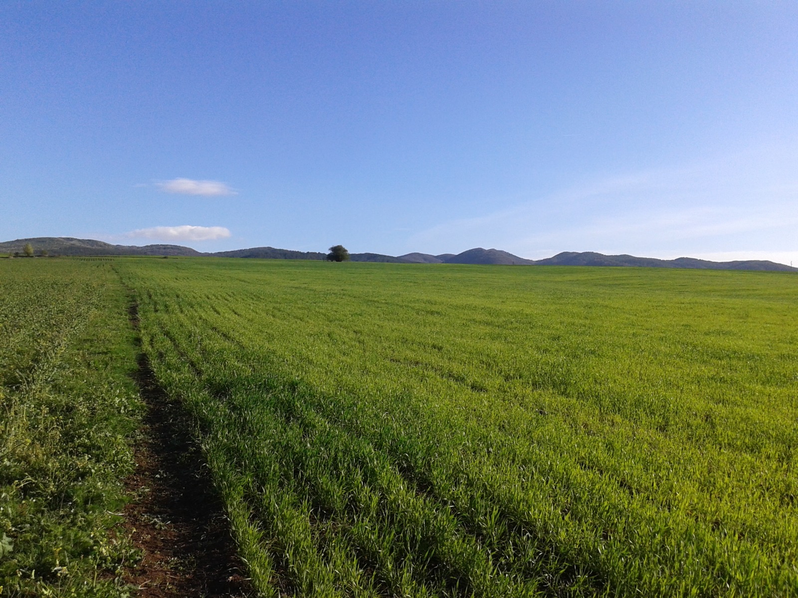 Продава ПАРЦЕЛ | Imot.bg — изображение 15