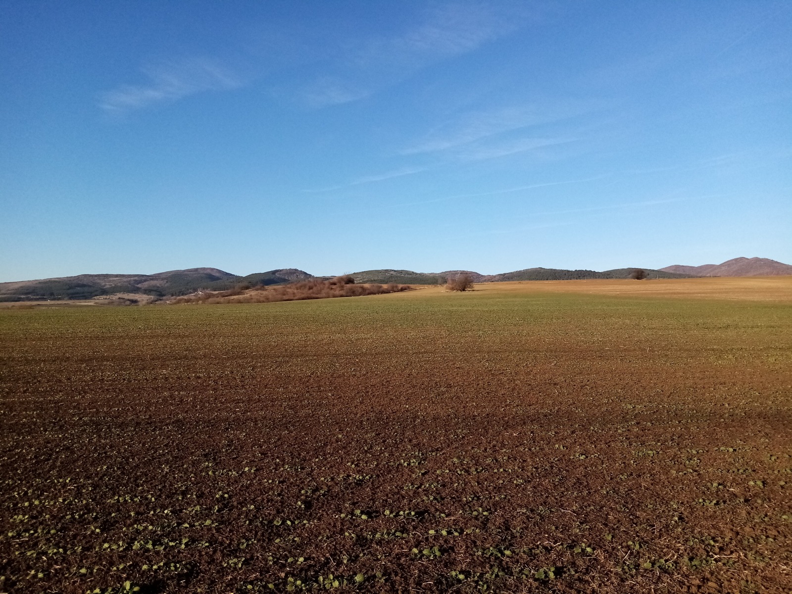 Продава ПАРЦЕЛ | Imot.bg — изображение 12