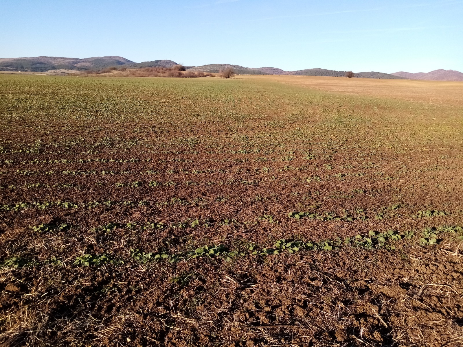 Продава ПАРЦЕЛ | Imot.bg — изображение 13