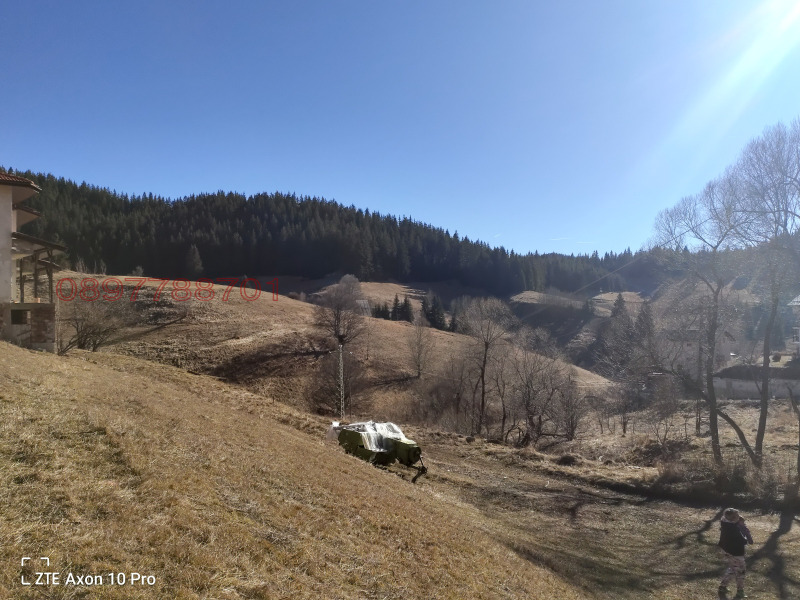 Продава ПАРЦЕЛ, с. Проглед, област Смолян, снимка 13 - Парцели - 52780756