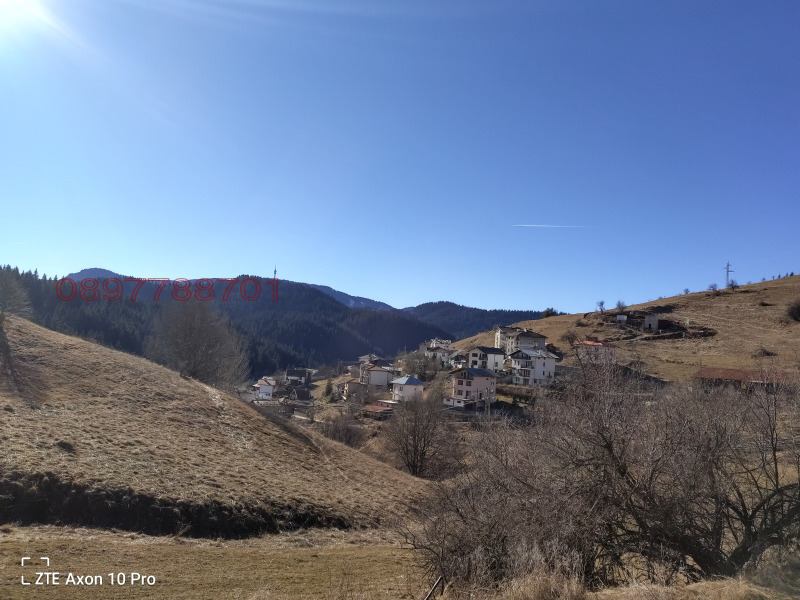 Продава ПАРЦЕЛ, с. Проглед, област Смолян, снимка 6 - Парцели - 52780756