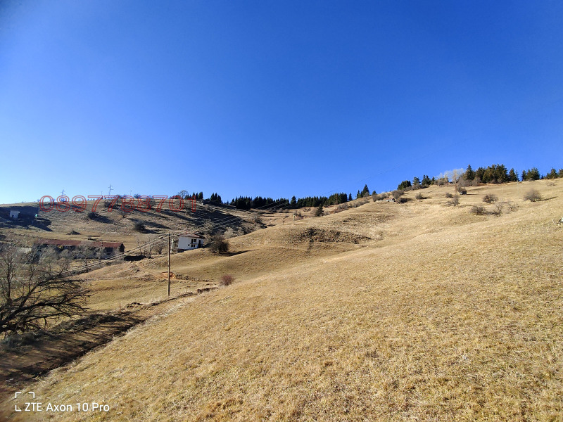 Продава ПАРЦЕЛ, с. Проглед, област Смолян, снимка 5 - Парцели - 52780756